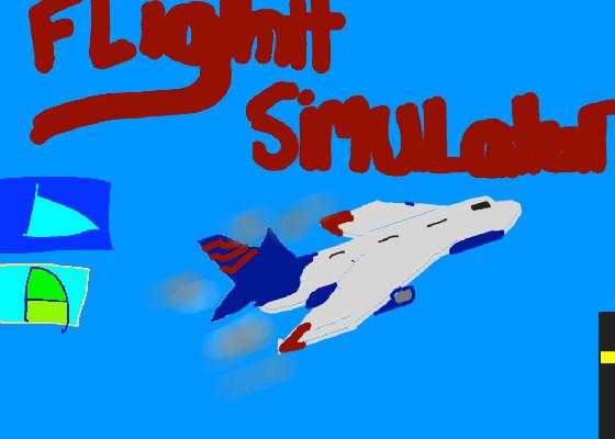 Flight sim  1