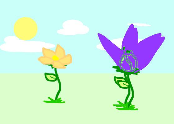 Blooming Flower 3