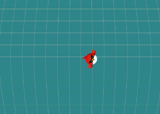 Bird Mayhem 1