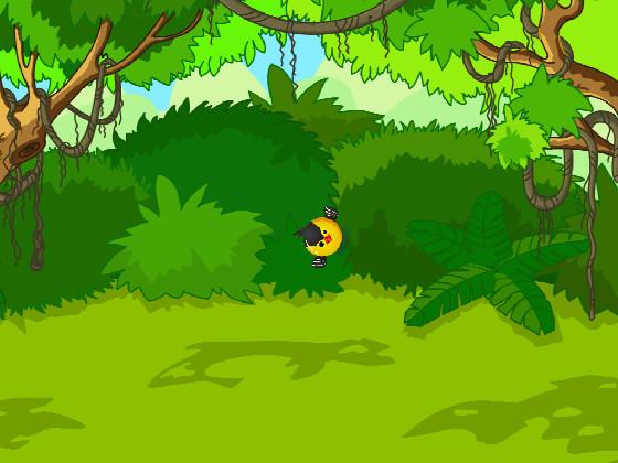 CRAZY BOUNCING BIRDS!