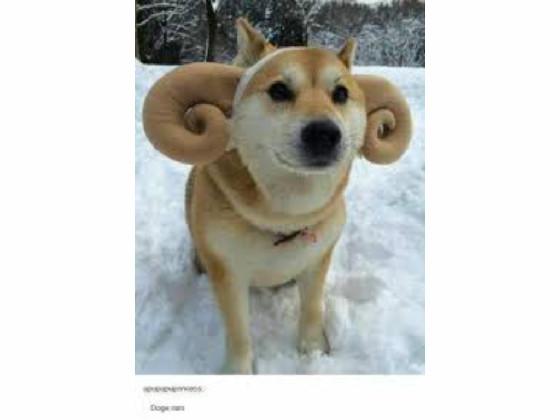 r/Eye Bleach | 2