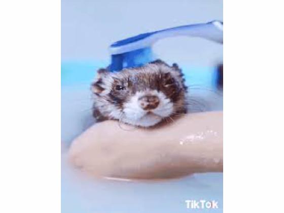 r/Eye Bleach | 6