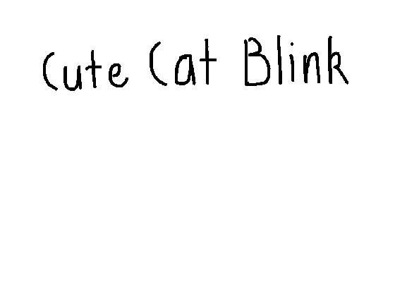 Cute Cat Blink