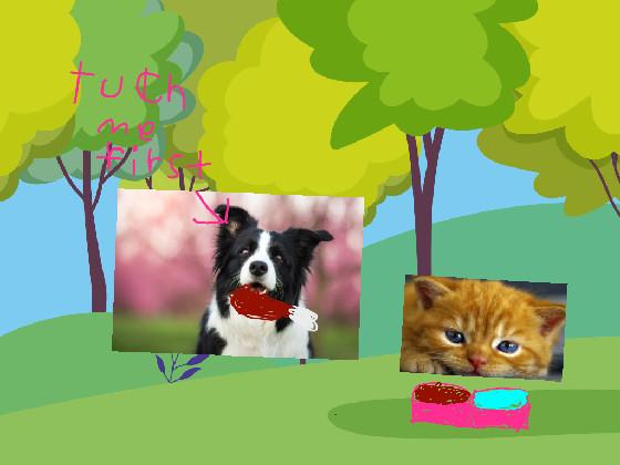 dog and kitty
