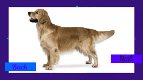 Beagle.co (A.k.a. doggy-themed google)