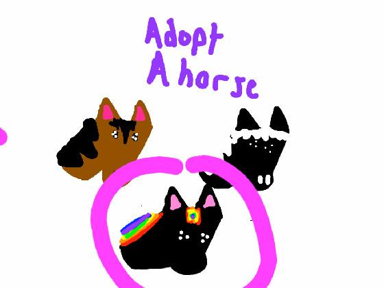 adopt a horse