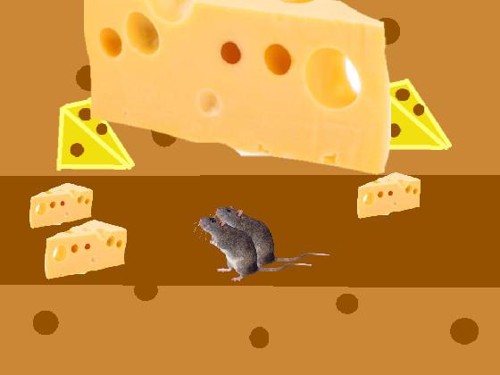 mouse has cheese 1