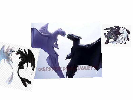 toothless and light fury ❤️