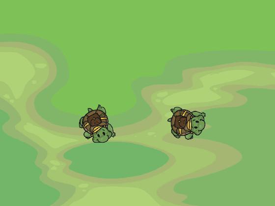 Turtle Trails 1