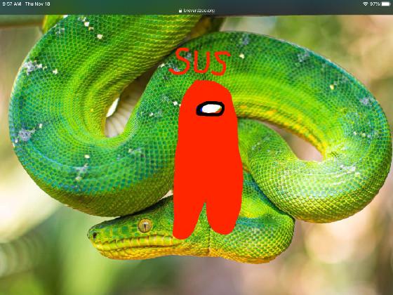 das kins of SUS