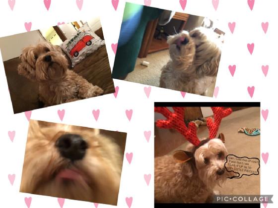 ★!🌺Sandy💘!★