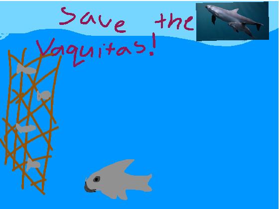 Save the Vaquitas! 1