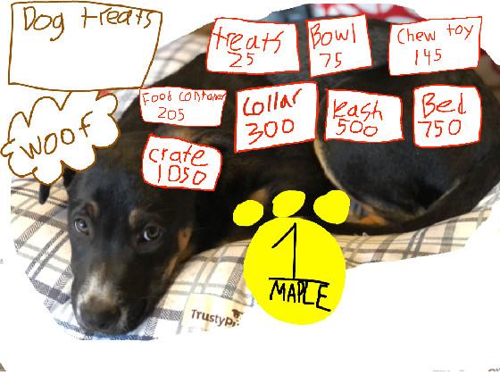 Maple the dog clicker