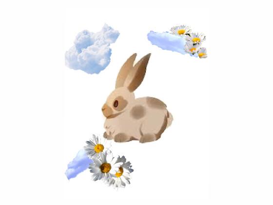 BUNNY!!!!!! omg like if want more🐇