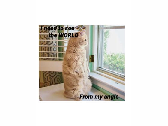 so cute like if want more