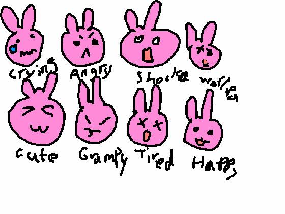 Bunny expression