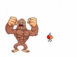 help him by likeing