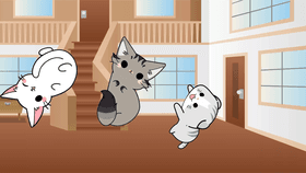 crazy kittens