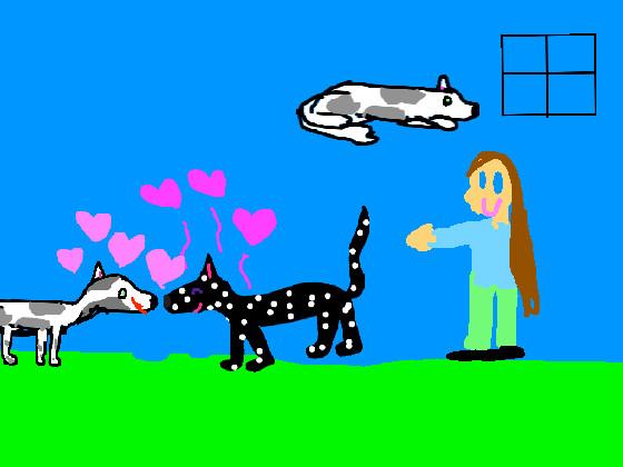 Cat and dog in😍💘💖