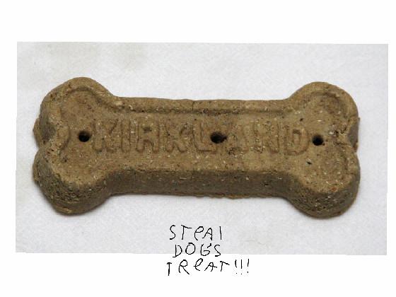 steal dogs treat