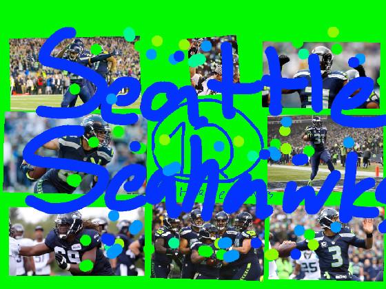 Seattle Seahawks!!!!!!!! 1