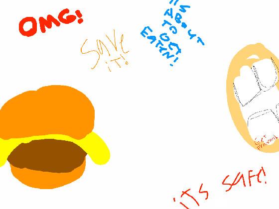HELP THE CHEZ BIRGUR!!!!!