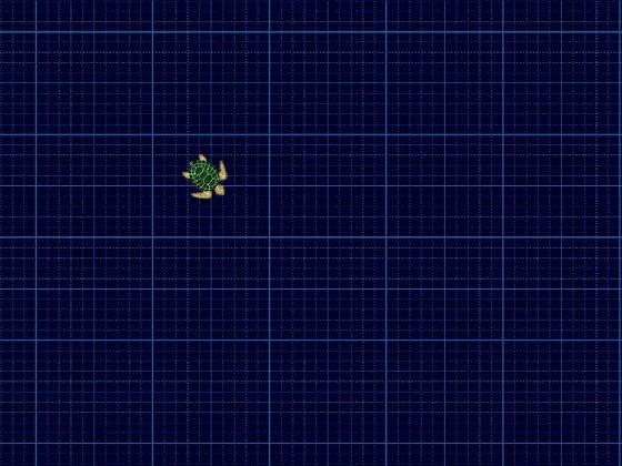 turtle draw?