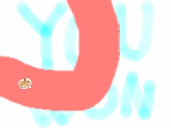 hamster run