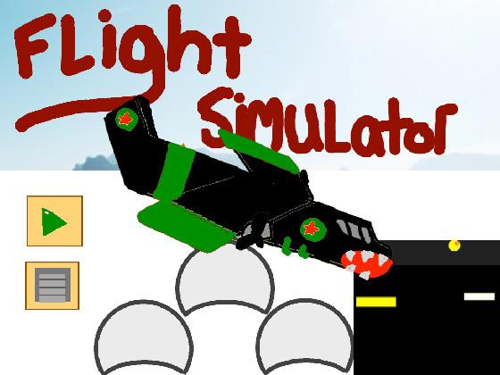 Flight Simulater  1