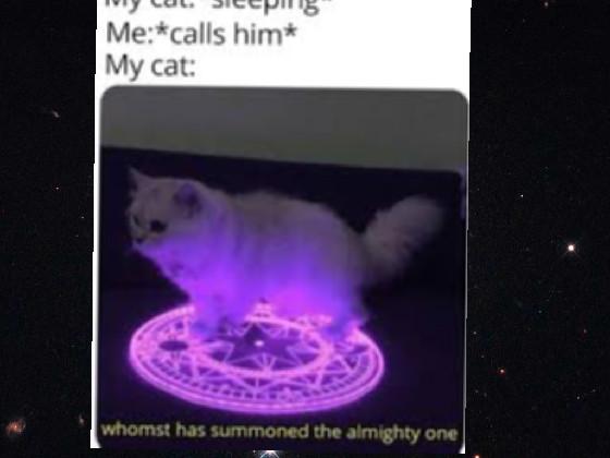 re:cat memes 1 1 1