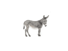 Donkey Clicker