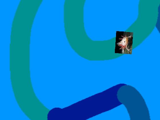 cat race game  2 1 1