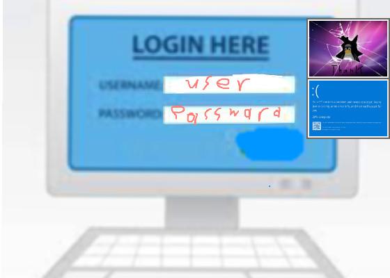 log into alys computer