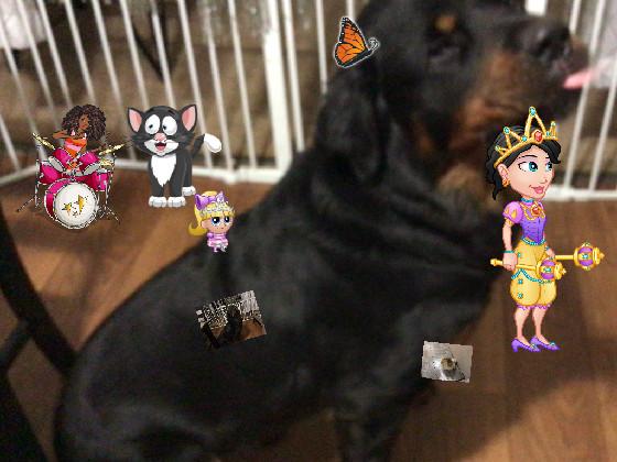 oso and frends 🙈🥳 - copy