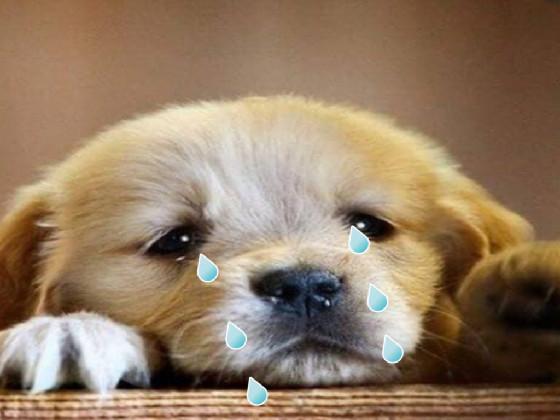 please give me more likes🥺🥺 1