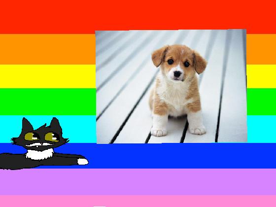 Drawing real life dogs 1