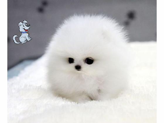 Like if u think it’s cute