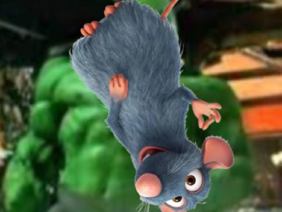 rat spinner