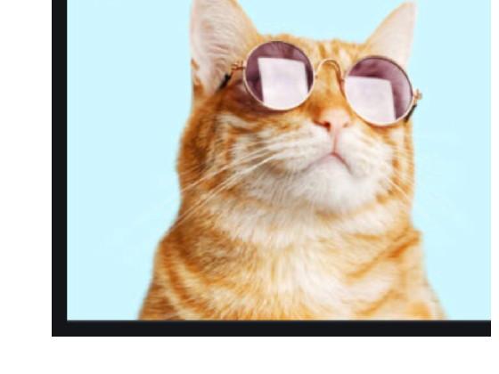 When the imposter is sus 🐱