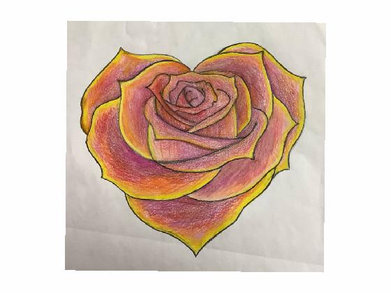 Rose Heart Drawing ❤️🌹