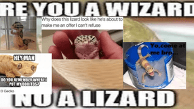 meme 16