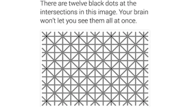 illuision black dots
