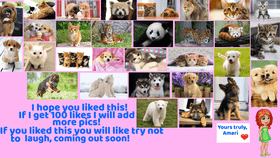 Try not to die of cuteness!!!