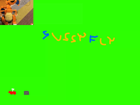 sussy fly