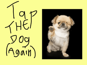 Tap the Dog (again) kolton
