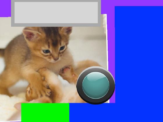 🐈funny kitten clicker🐈