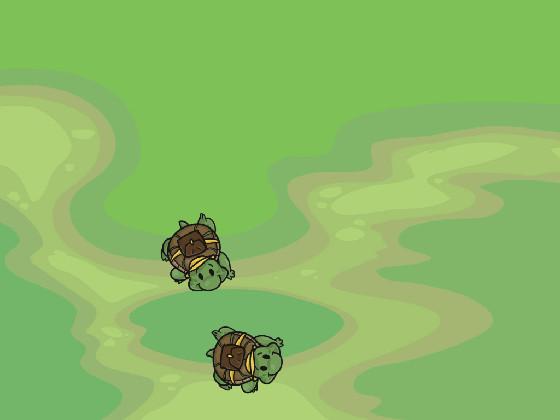 THE JAPANESE TURTLE’S