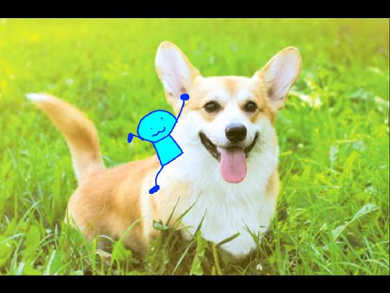 add oc to riding on corgi