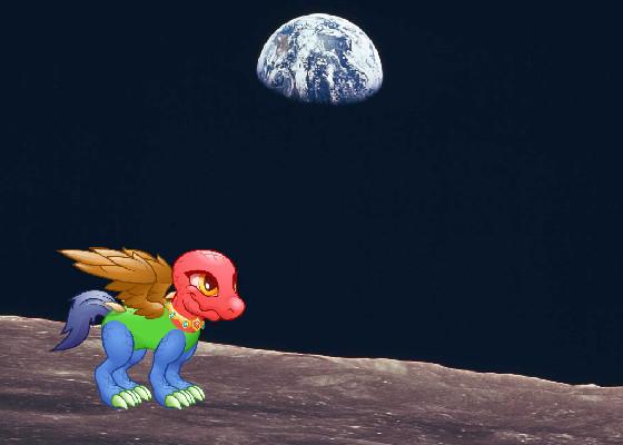 FIND THE ITAMS!!!!!!!!!!!!!!!!!!!!!!!!!!!!!!!!!!!!!!