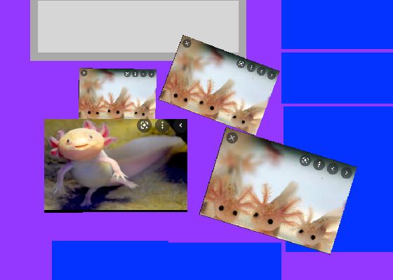 axolotl clicker! 2